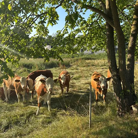 Ubberup Konferencegaard *